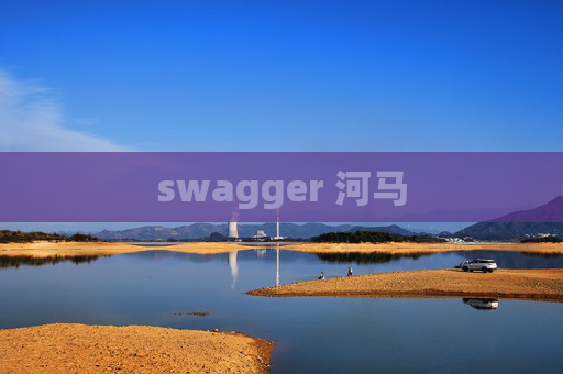 swagger 河马
